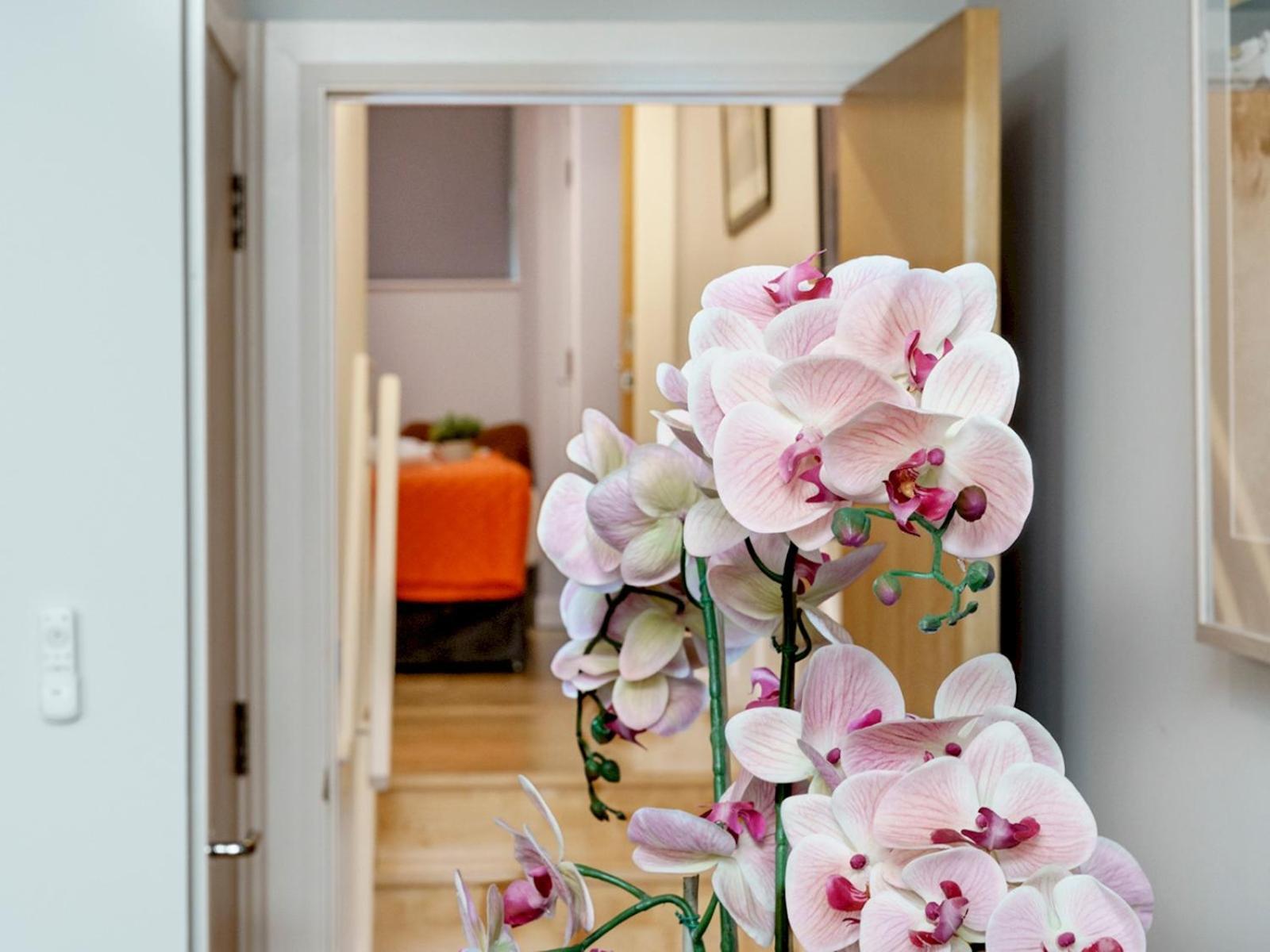 The Linen Mill Apartment Pass The Keys 벨파스트 외부 사진