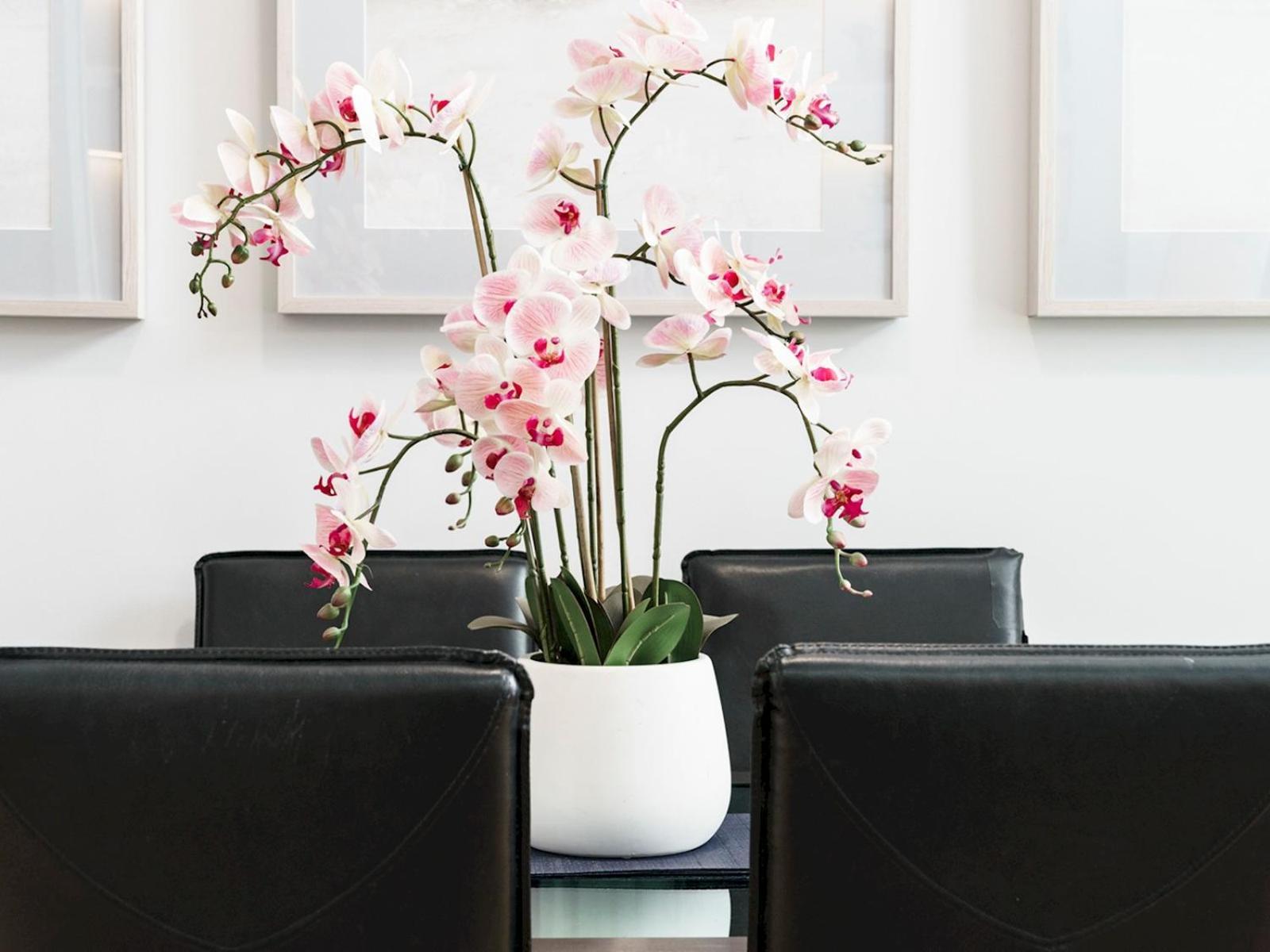 The Linen Mill Apartment Pass The Keys 벨파스트 외부 사진